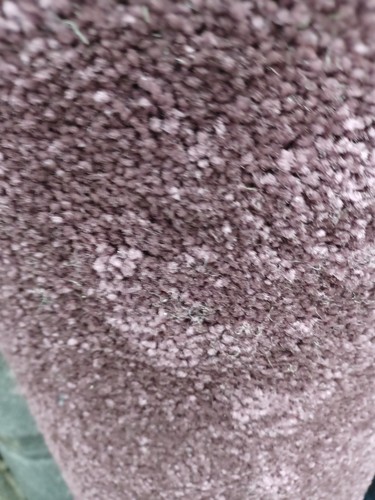Cheap great quality carpet - quality,