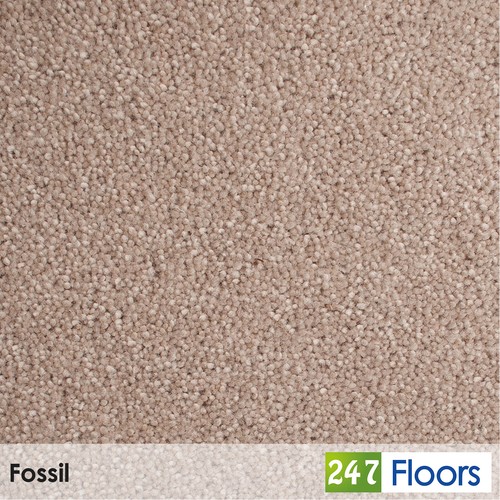Fossil hampstead 50oz carpet - hampstead,