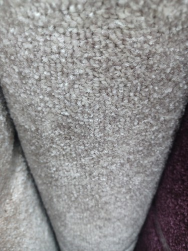 Cheap great quality carpet - great,