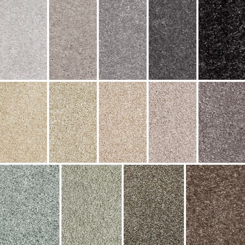 Samples isense serenity - -,
