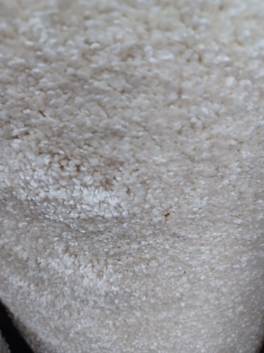 Cheap great quality carpet - cheap,