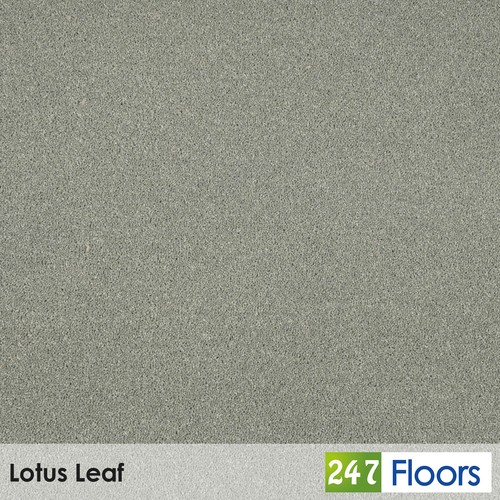 Lotus leaf hampstead - lotus, 50oz