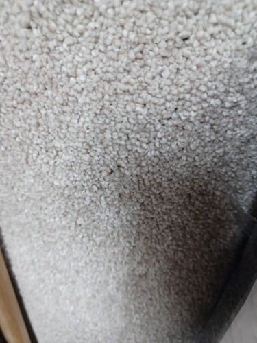 Cheap great quality carpet - great,