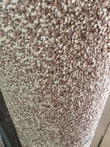 Cheap great quality carpet - cheap,